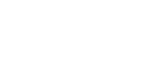Dassault 300x125