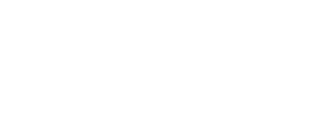 Embraer 300x125